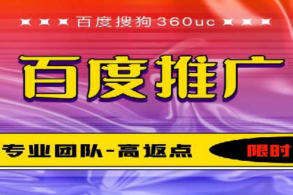 百度竞价包年推广的典型案例与效果展示